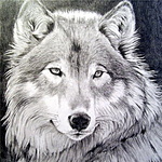 SilverWolf