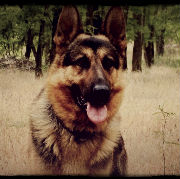 Axel