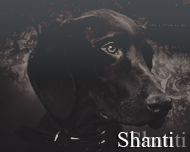 Shanti