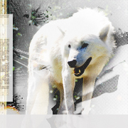 Tormenta En Solitario