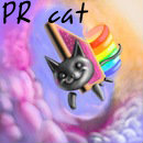 PR cat