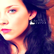 ���� �����