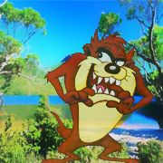 Tasmanian Devil