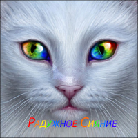 �������� ������