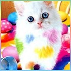  ;3