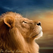 Aslan