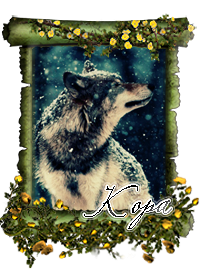 Кора Кора