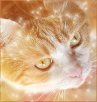 ~�������