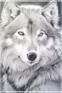 WhiteWolf