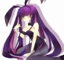 Stocking