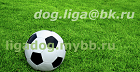 liga_dog