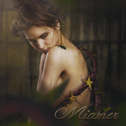 Miamer