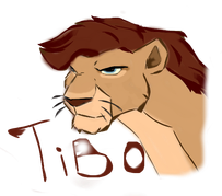 Tibo