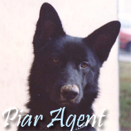 Piar Agent