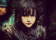 Brandon Stark