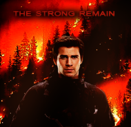 Gale Hawthorne