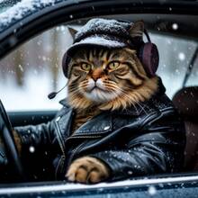 ���������� ���