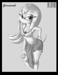 Bella The Echidna