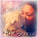 Night_Breeze