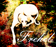 Frehel