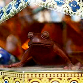 Chocolate Frog