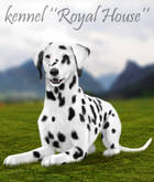 kennel Royal House