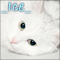 _Ice_