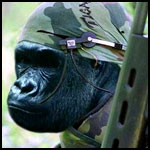 ��� � ����