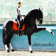 Alessandro