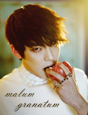 Kim Woo Bin