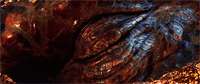 Iluvatar