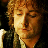 Peregrin Took