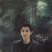 Park Chan Yeol