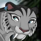 ����