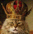 KingOfCats