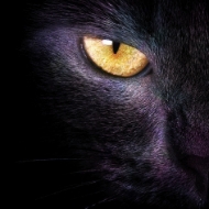 ��������� ������