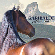 Garibaldi