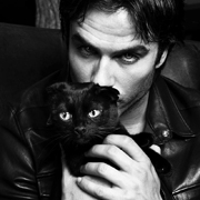 Damon Salvatore