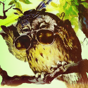 Postal Owl