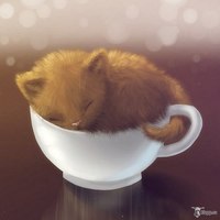 �������