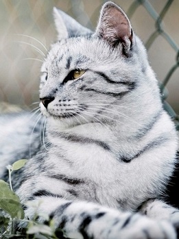 ������������