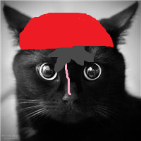 ���� �������