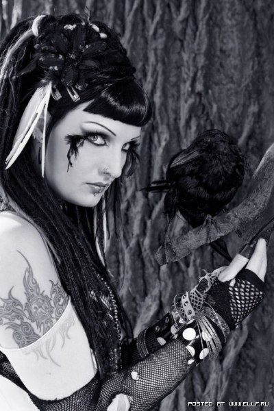 ��������� ��������