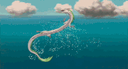 Haku