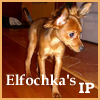 Elfochka