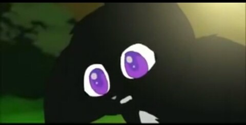 ���� ����