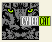 CyberCat