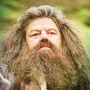 Rubeus Hagrid