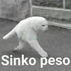 Zambucetti Zambucetti