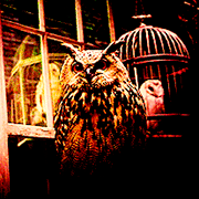 �������